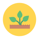 planta icon