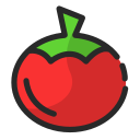 tomate icon