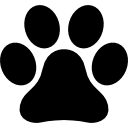 Animal paw print icon