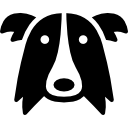 cabeza de perro border collie 