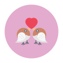 pájaros del amor icon