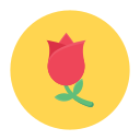 rosa icon