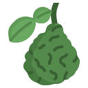 bergamote 