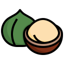 macadamia icon