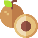 longan icon