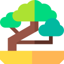 bonsai icon