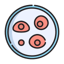 célula 