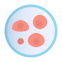 célula 