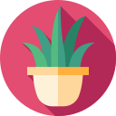 aloe vera icon