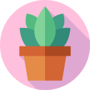 plantar icon