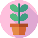 plantar icon