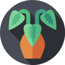calathea icon