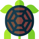 tortuga icon