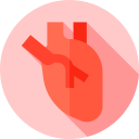 organe cardiaque Icône