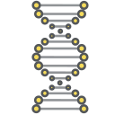 cadena de adn icon