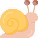 caracol icon