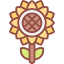 girasol icon