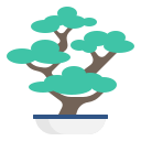 bonsai