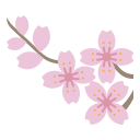 sakura icon