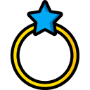 anillo icon