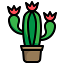 cactus icon