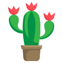 cactus icon