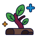 planta arbol icon