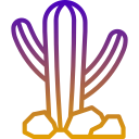 cactus icon