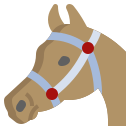 caballo icon