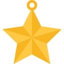 estrella icon