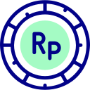 rupia icon