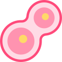 mitosis icon