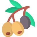 olivos icon