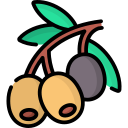 olivos icon