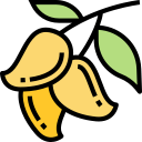 mango icon