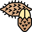 fruta icon