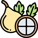 fruta icon