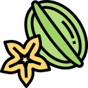 fruta estrella icon