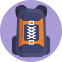 bolso icon