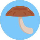 champiñón icon