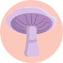 champiñón icon