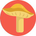 champiñón icon