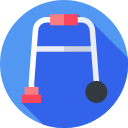 caminante icon