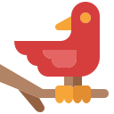 pájaro icon