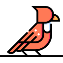 pájaro icon