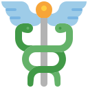 caduceo icon