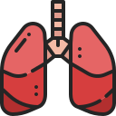 Lung 