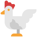 pollo icon