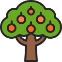 Árbol de frutas icon