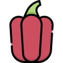 pimiento morrón icon